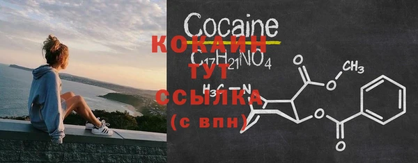 СК Богородицк