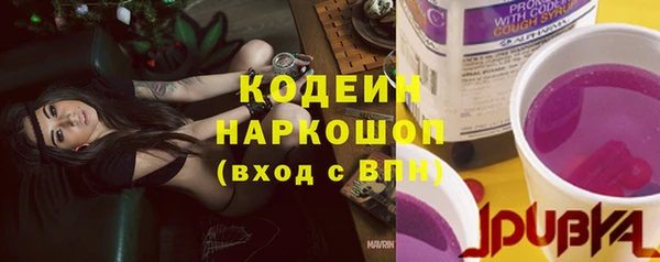 spice Богородск