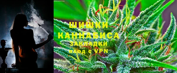 spice Богородск