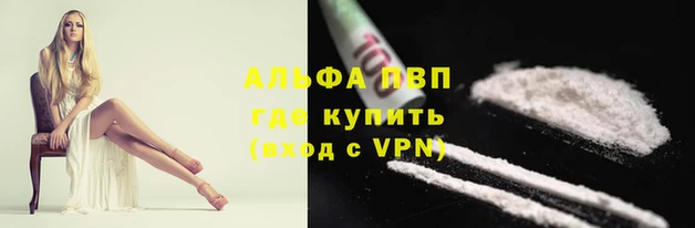 spice Богородск