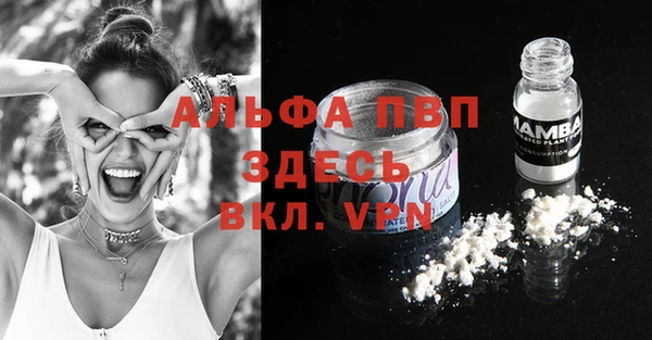 spice Богородск