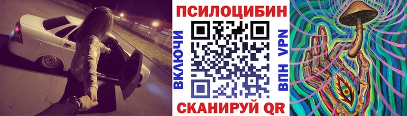 Псилоцибиновые грибы прущие грибы  Тихорецк 